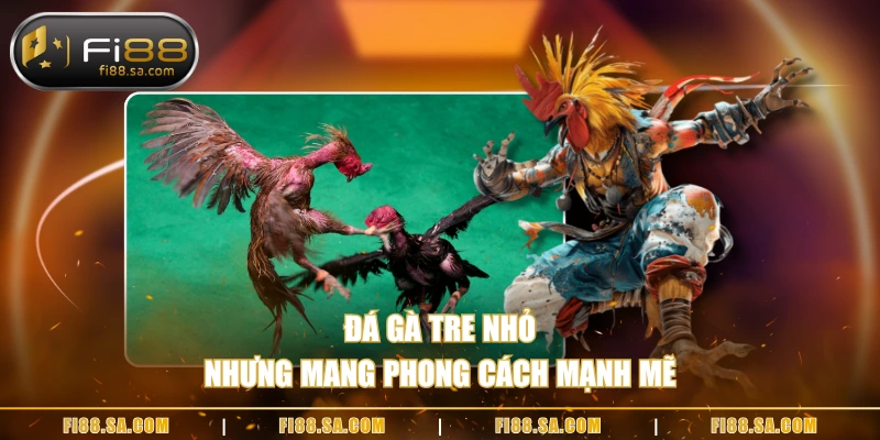 Đá gà tre nhỏ nhưng mang phong cách mạnh mẽ